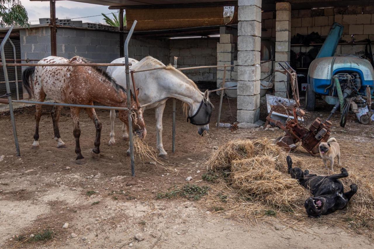 Masseria Cinti Bagnolo del Salento エクステリア 写真
